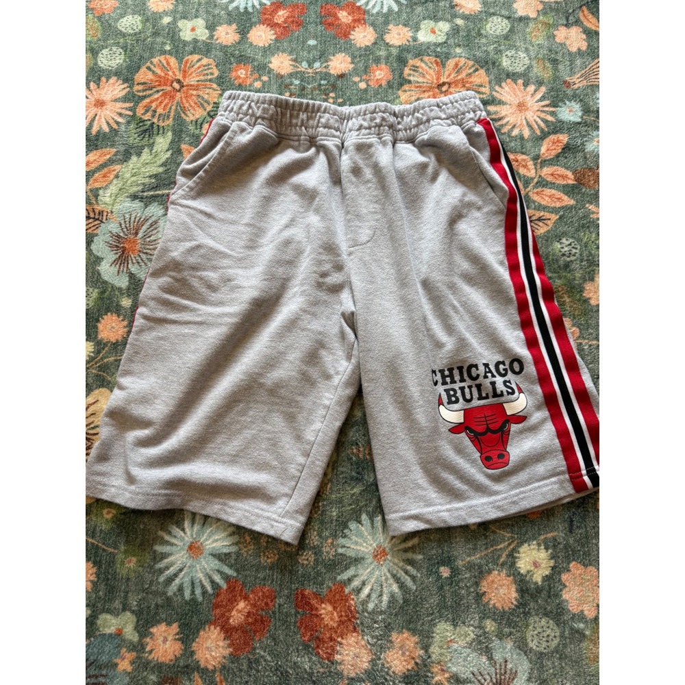 NBA Chicago Bulls Fleece Shorts Mens Medium Gray Red Black‎ Striped Basketball